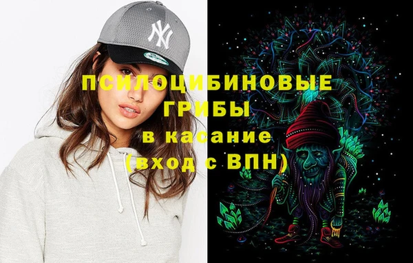 а пвп мука Гусиноозёрск
