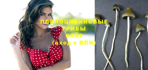 а пвп мука Гусиноозёрск