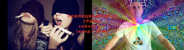 мет Гусь-Хрустальный