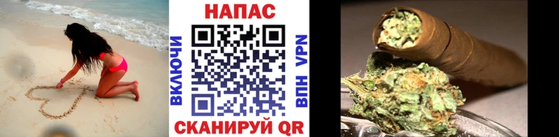 Купить  Ленинск  Каннабис планчик 